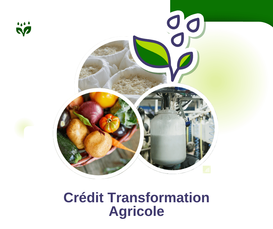 marché agricole CMS