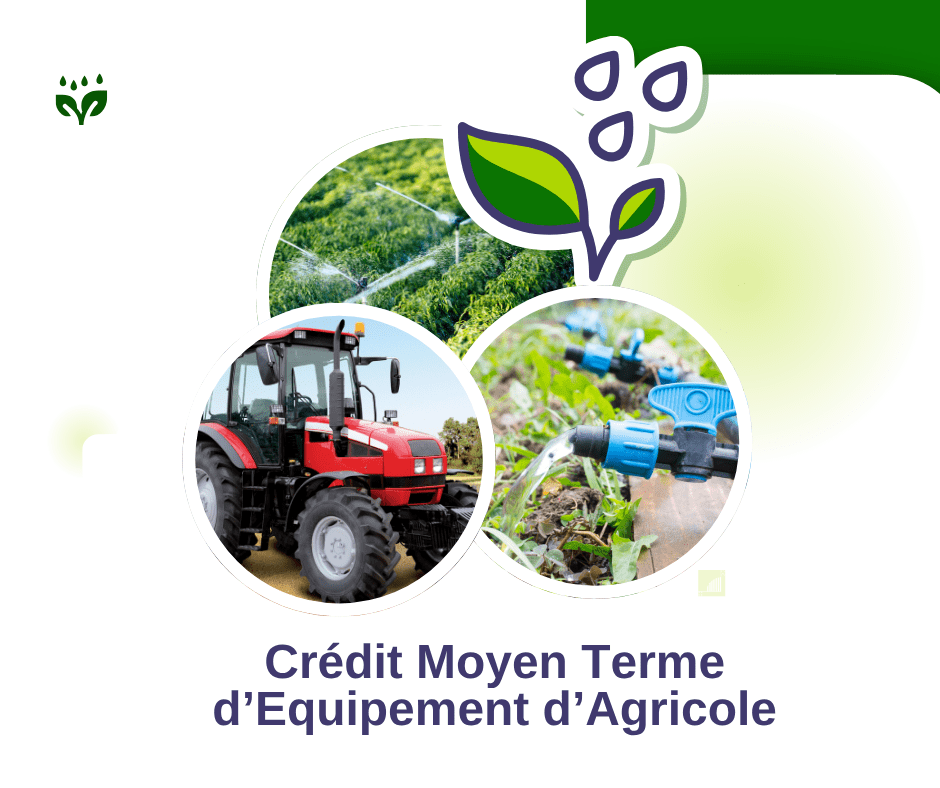 marché agricole CMS